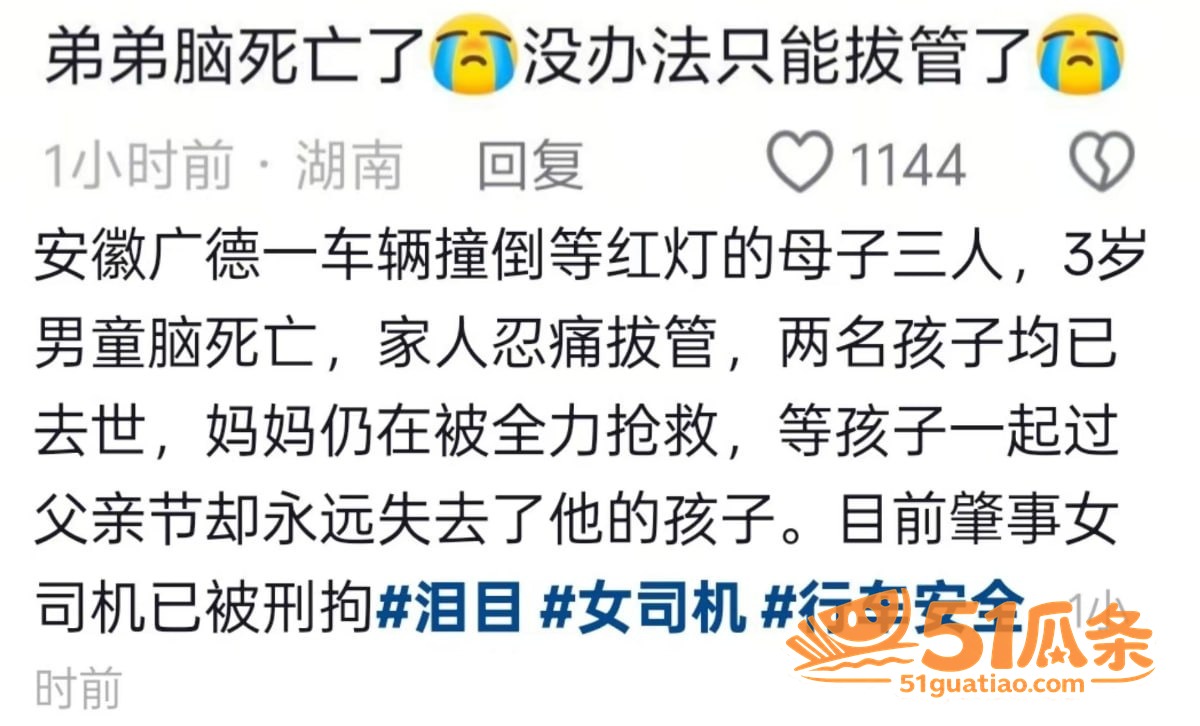 杨某某 越过绿化带撞相关图片3