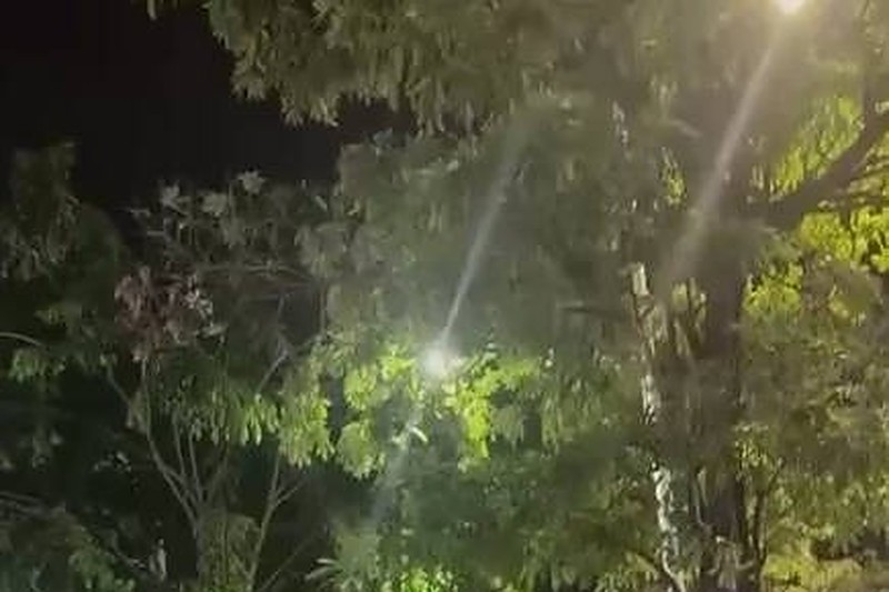 高登事件 男子被骗钱怒割女友喉 随后跳楼身亡