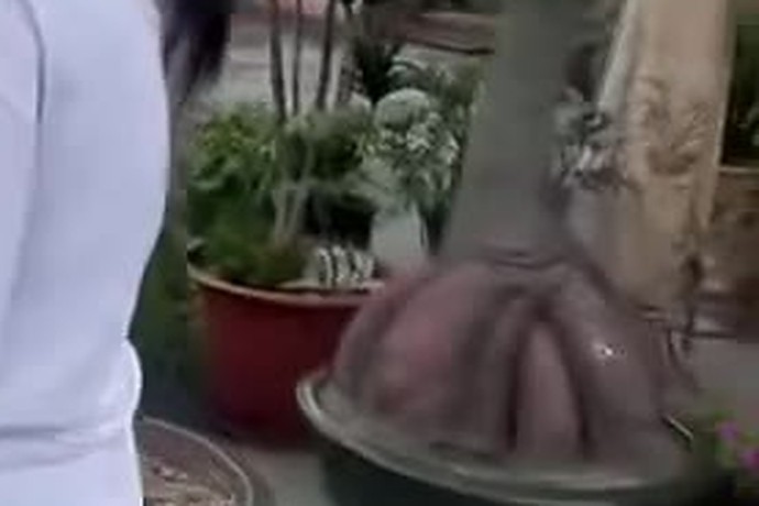 精神小妹 普宁中学围殴女同学 现场视频曝光
