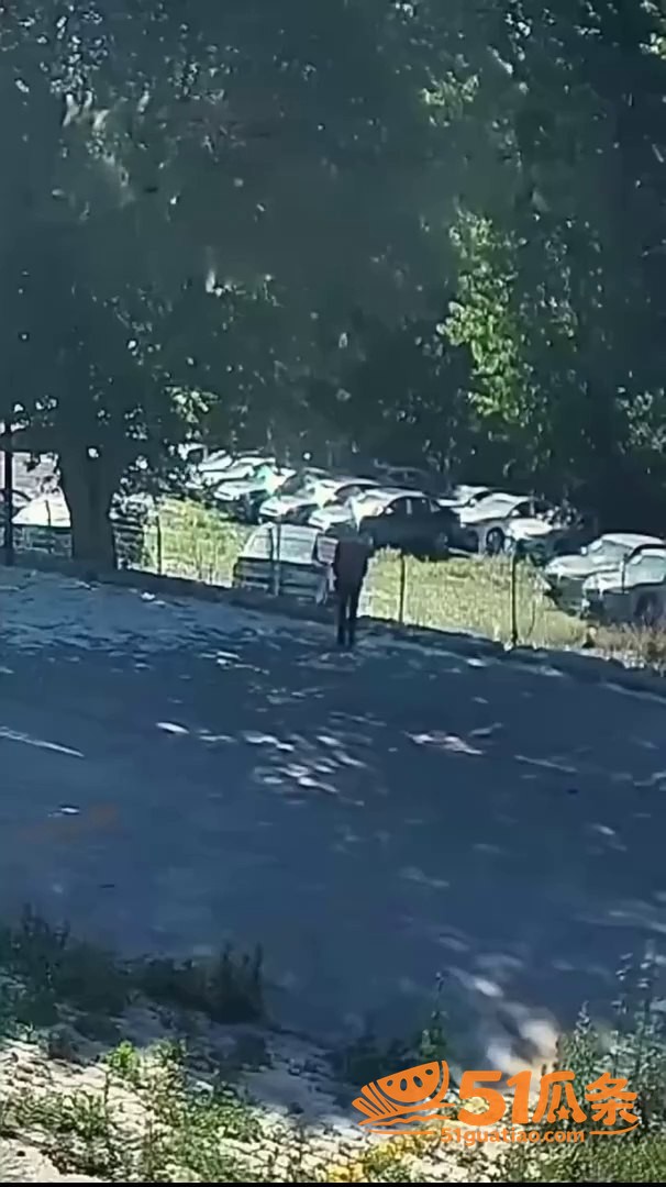 大连74岁老人点燃杨相关图片1