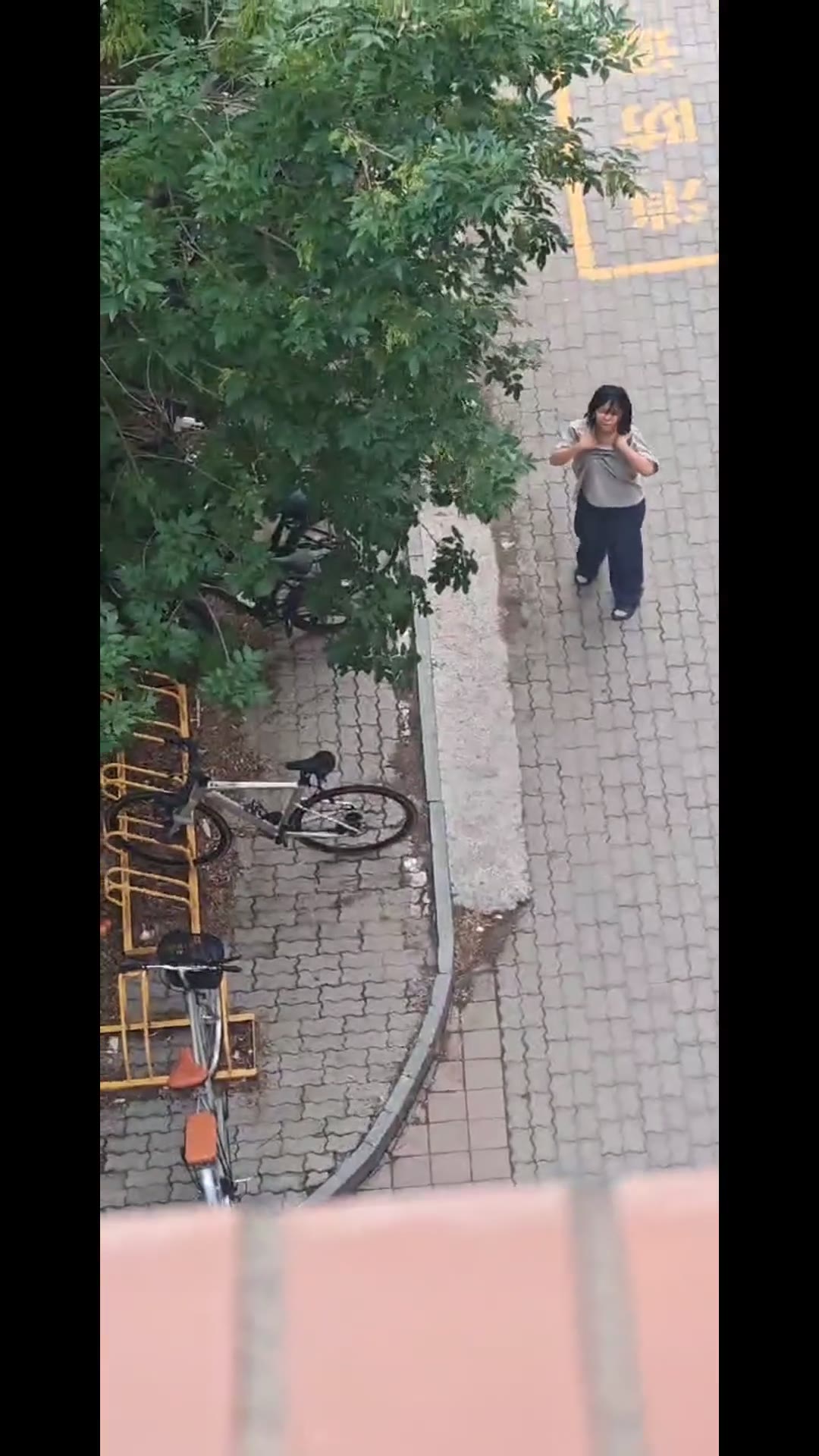 浙传学生怀孕闹剧 男相关图片5