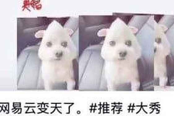 网易云音乐博主 浮云还在吗 笔记擦边演变为约炮神器