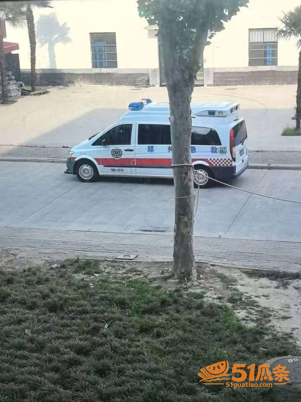 河南牧业经济学院女生相关图片1