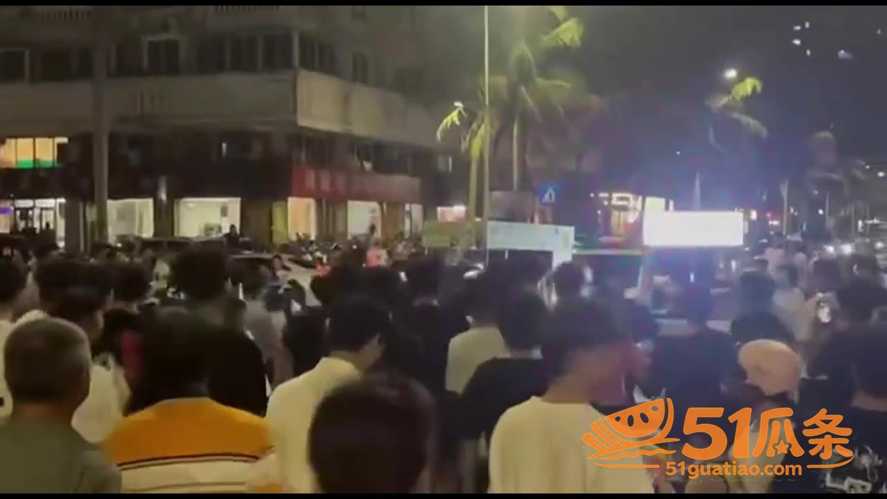 莹莹手打柠檬茶 被调相关图片6