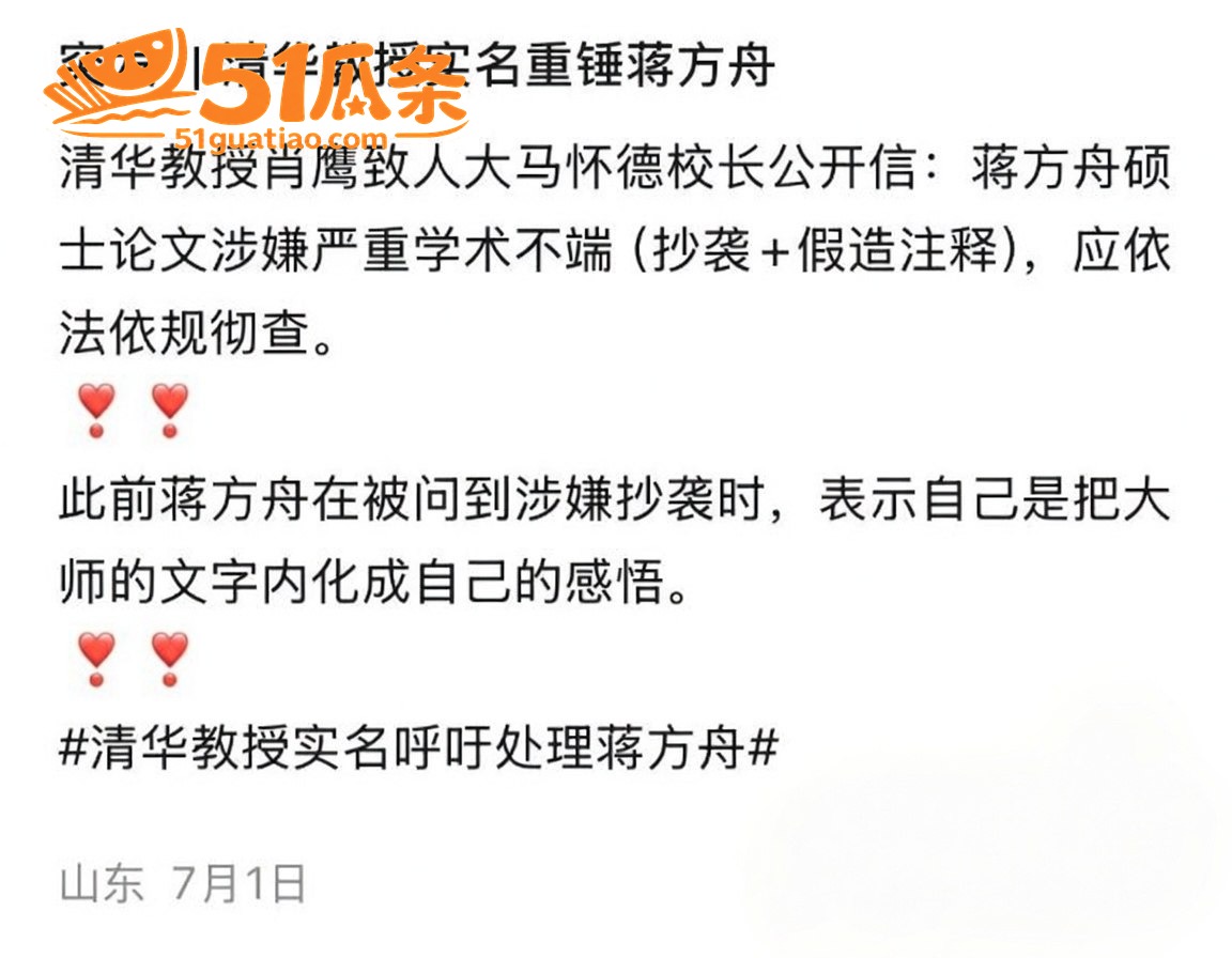 蒋方舟 论文造假风波相关图片10