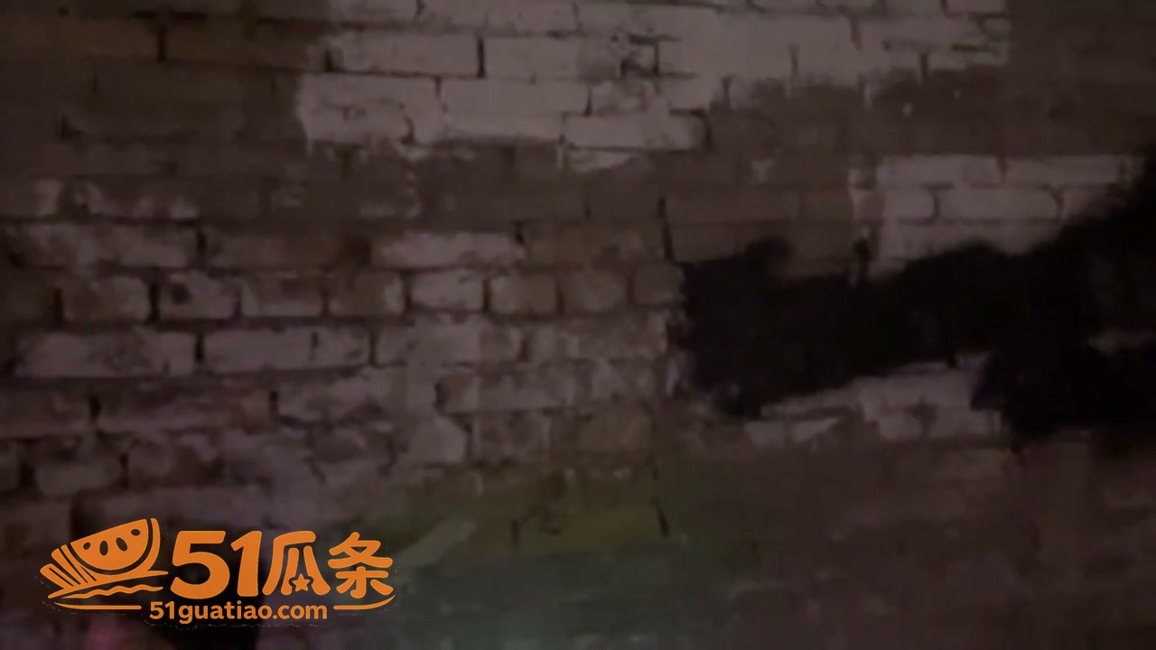 扫街女子 深夜潜入重相关图片6