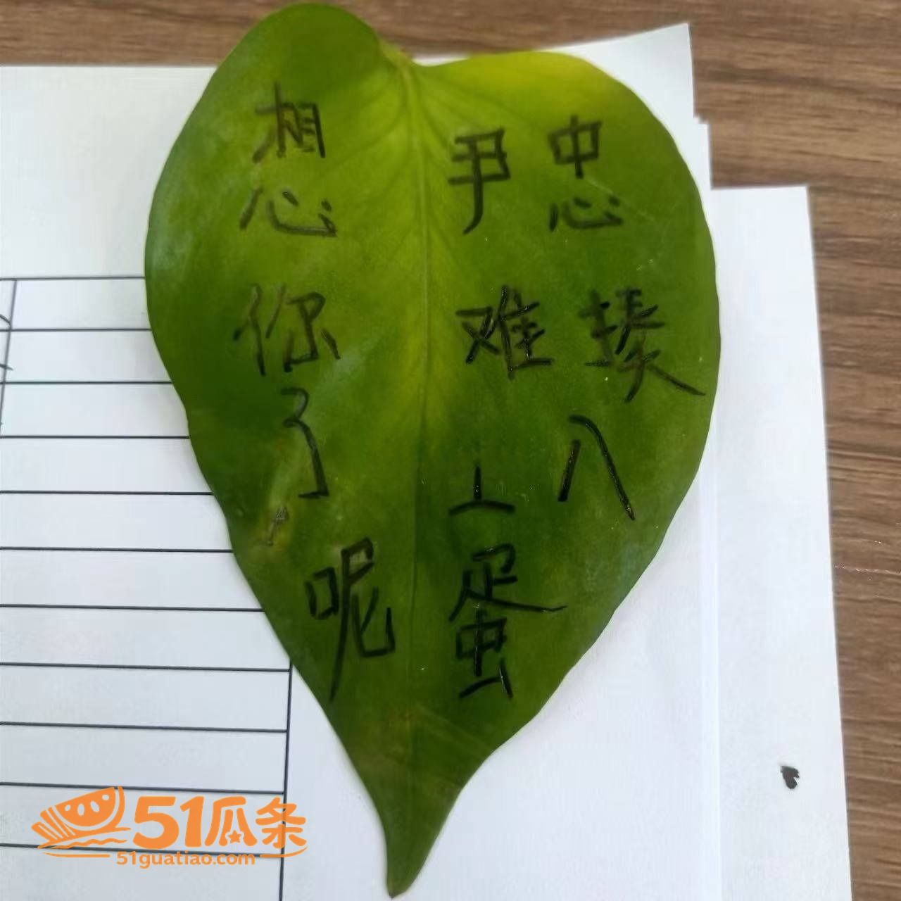尹忠 妻子癌症去世后相关图片7