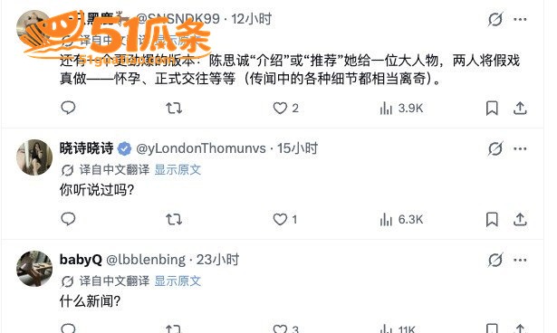 佟丽娅 嫁入高层传闻相关图片6