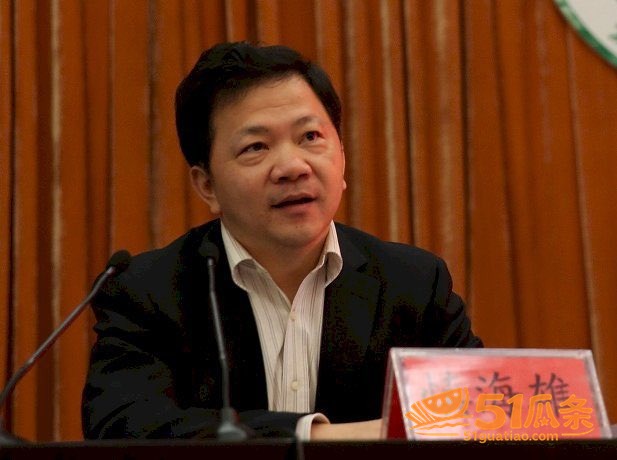 佟丽娅 嫁入高层传闻相关图片1