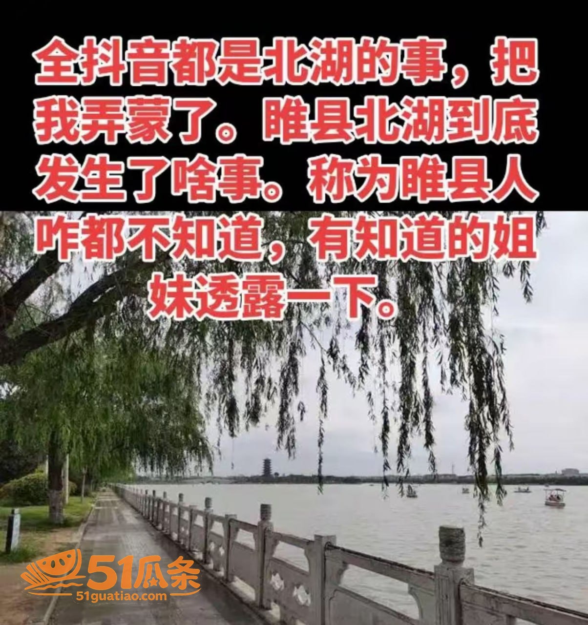 睢县北湖公园情侣 深相关图片5